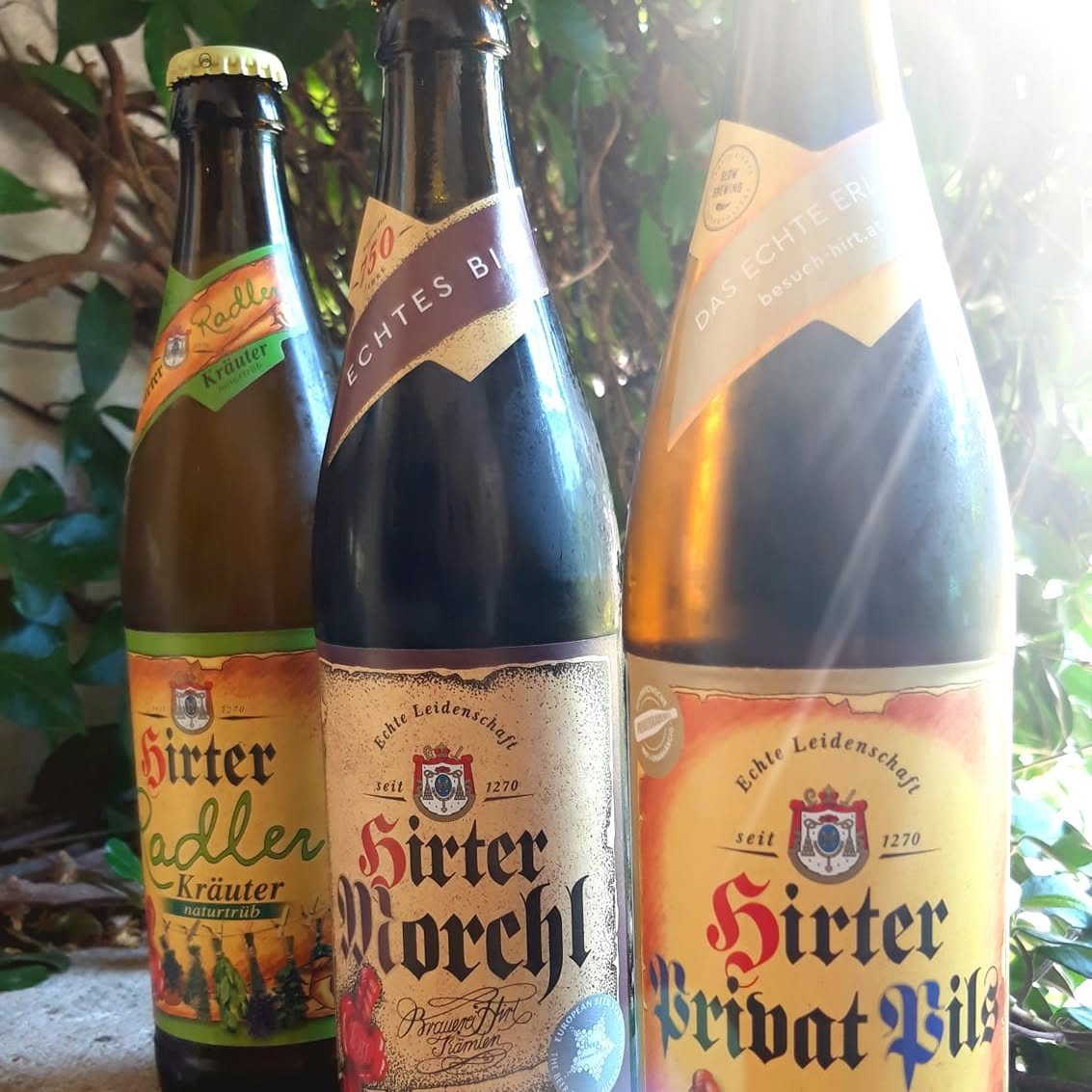 Tri boce Hirtera, Radler, Morchl i Privat Pils, u vrtu Tora